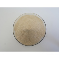 Insen Supply Food Grade Neutral Protease Serrapeptase